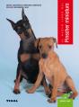Pinscher Miniatura - Preview