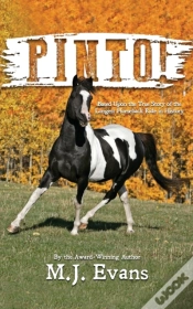 Capa do artigo Pinto!