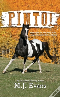 Capa do artigo Pinto!