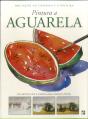 Pintura a Aguarela - Preview