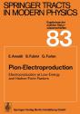 Pion-Electroproduction - Preview