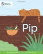Pip - Preview