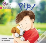 Capa do artigo Pip!
