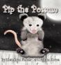 Pip The Possum - Preview