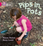 Pips In Pots - Preview