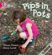 Capa do artigo Pips In Pots