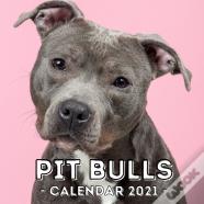 Pit Bulls