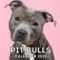 Pit Bulls - Preview
