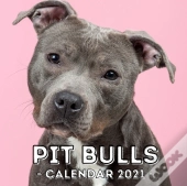 Pit Bulls