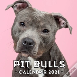 Capa do artigo Pit Bulls