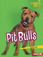 Pit Bulls - Preview