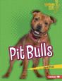 Pit Bulls - Preview