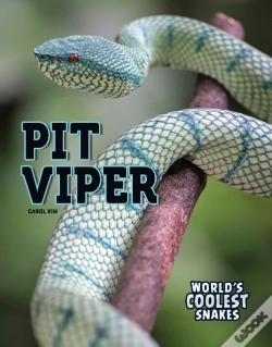Capa do artigo Pit Viper