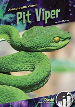 Capa do artigo Pit Viper