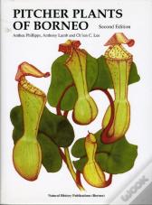 Pitcher-Plants Of Borneo