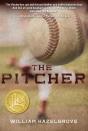 Pitcher - Preview