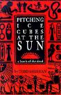 Pitching Ice Cubes At The Sun - Preview