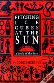 Capa do artigo Pitching Ice Cubes At The Sun