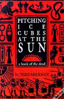 Capa do artigo Pitching Ice Cubes At The Sun