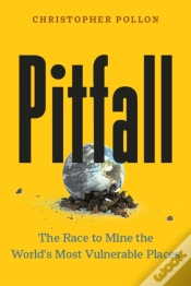 Capa do artigo Pitfall