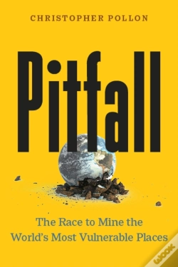 Capa do artigo Pitfall