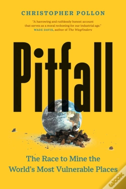 Capa do artigo Pitfall