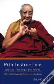 Capa do artigo Pith Instructions
