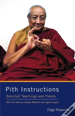 Capa do artigo Pith Instructions