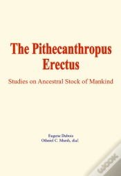 Capa do artigo Pithecanthropus Erectus