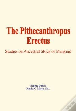 Capa do artigo Pithecanthropus Erectus