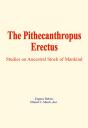Pithecanthropus Erectus - Preview