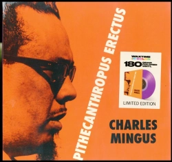 Capa do artigo Pithecanthropus Erectus - Vinil