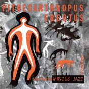 Capa do artigo Pithecanthropus Erectus - Vinil