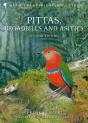 Pittas, Broadbills And Asities - Preview