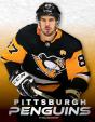 Pittsburgh Penguins - Preview