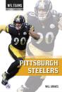 Pittsburgh Steelers - Preview