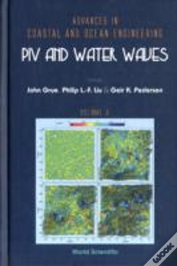Capa do artigo Piv And Water Waves