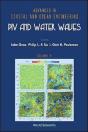 Piv And Water Waves - Preview