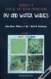 Capa do artigo Piv And Water Waves