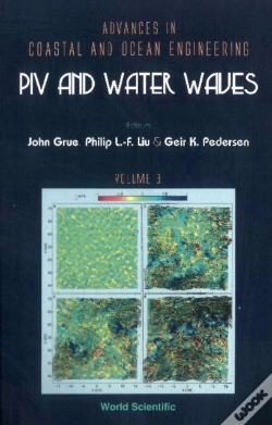 Capa do artigo Piv And Water Waves