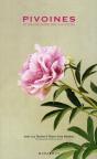 Pivoines - Preview