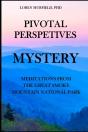 Pivotal Perspectives - Preview