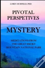 Capa do artigo Pivotal Perspectives