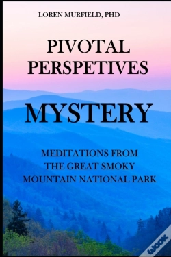 Capa do artigo Pivotal Perspectives
