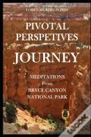 Pivotal Perspectives