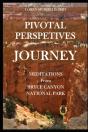 Pivotal Perspectives - Preview