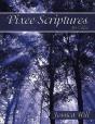 Pixee Scriptures - Preview