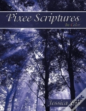 Capa do artigo Pixee Scriptures