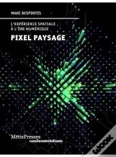 Pixel Paysage : L'Expérience Spatiale À L'Ère Du Numérique