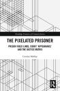 Pixelated Prisoner - Preview